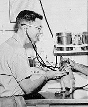 Man with stethoscope and baby wallaby